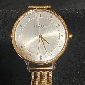 Skagen Gold Mesh Bracelet Watch